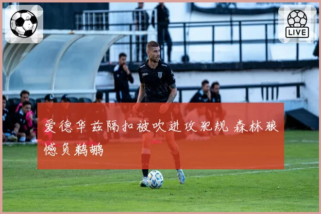 爱德华兹隔扣被吹进攻犯规 森林狼憾负鹈鹕