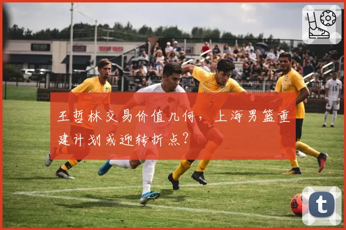 王哲林交易价值几何，上海男篮重建计划或迎转折点？