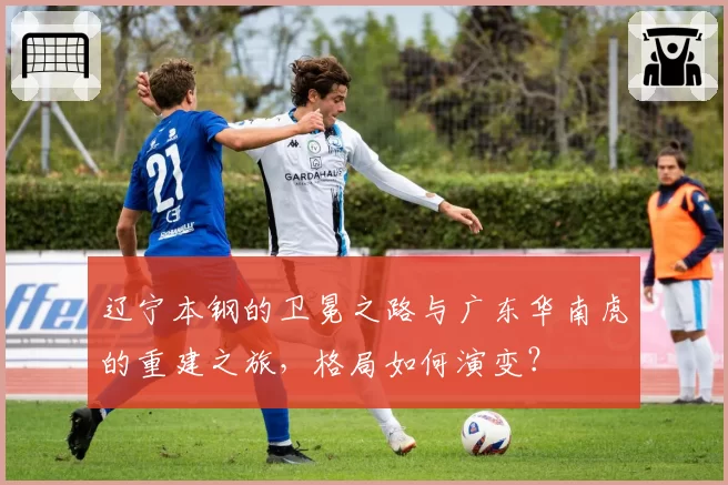 辽宁本钢的卫冕之路与广东华南虎的重建之旅，格局如何演变？